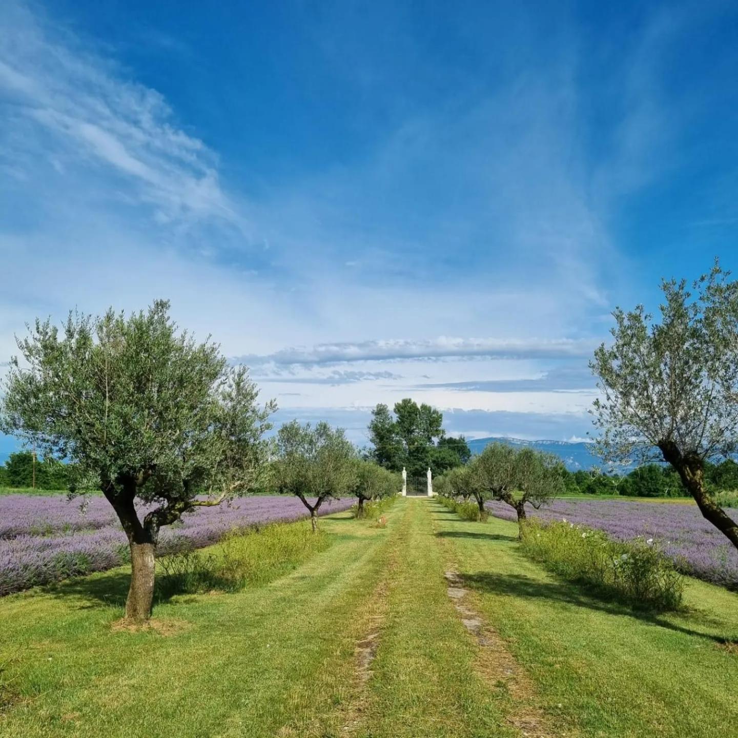 Domaine Des Balmes Villa Romans-sur-Isère Dış mekan fotoğraf